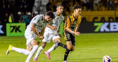 Palmeiras tem noite irreconhecível e é goleado pelo Novorizontino